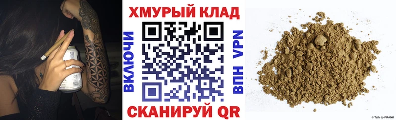 ГЕРОИН хмурый  Вятские Поляны 