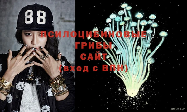 стафф Белоозёрский