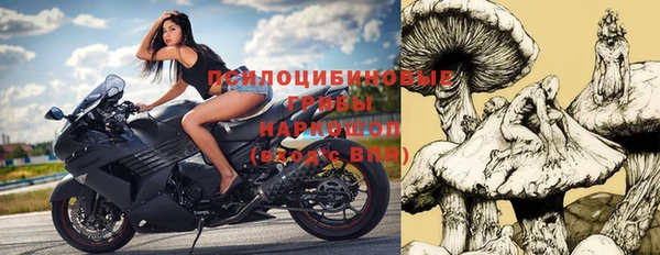 apvp Белокуриха