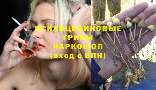 гашик Беломорск