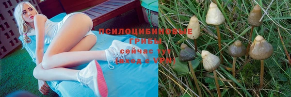 стафф Белоозёрский