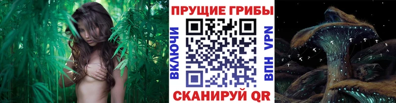 Галлюциногенные грибы Magic Shrooms MEGA рабочий сайт Вятские Поляны магазин продажи