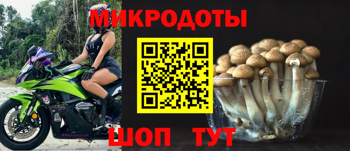 Вятские Поляны  Псилоцибиновые грибы Psilocybine cubensis  Вход с VPN 