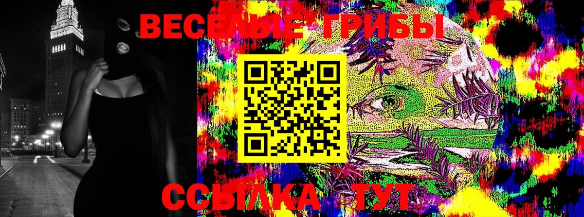 Псилоцибиновые грибы Psilocybe Вятские Поляны